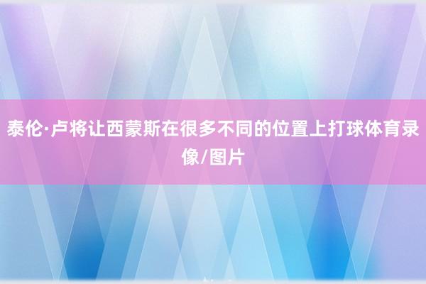 泰伦·卢将让西蒙斯在很多不同的位置上打球体育录像/图片