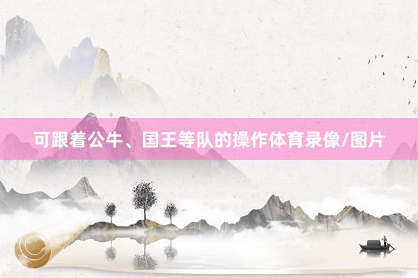 可跟着公牛、国王等队的操作体育录像/图片