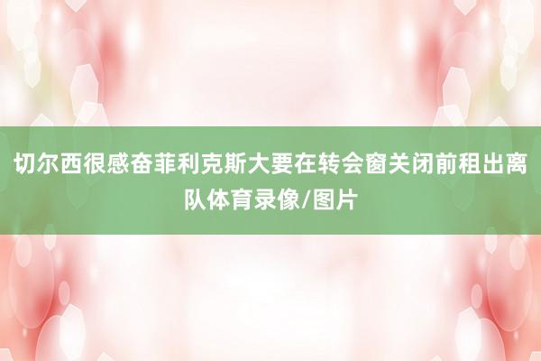 切尔西很感奋菲利克斯大要在转会窗关闭前租出离队体育录像/图片