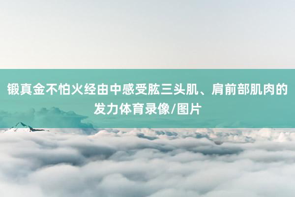 锻真金不怕火经由中感受肱三头肌、肩前部肌肉的发力体育录像/图片