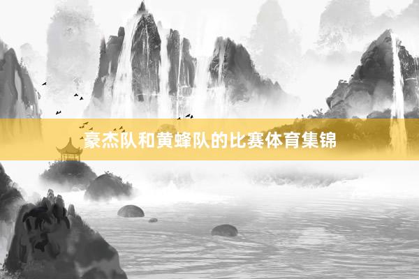 豪杰队和黄蜂队的比赛体育集锦