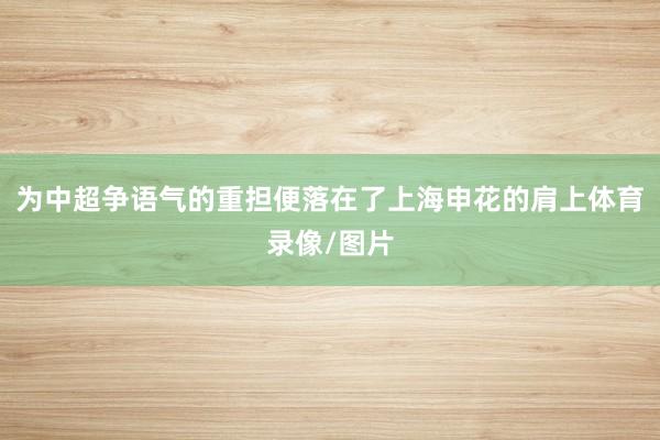 为中超争语气的重担便落在了上海申花的肩上体育录像/图片