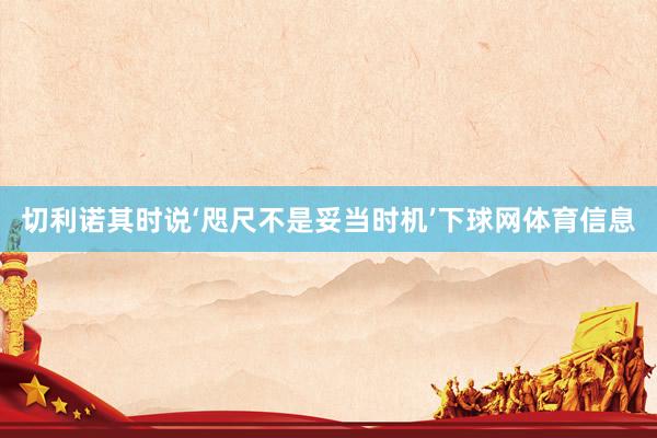 切利诺其时说‘咫尺不是妥当时机’下球网体育信息