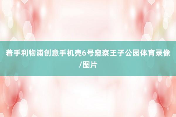 着手利物浦创意手机壳6号窥察王子公园体育录像/图片