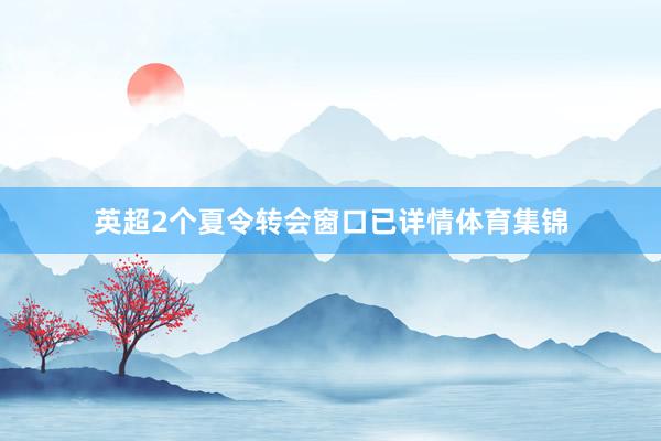 英超2个夏令转会窗口已详情体育集锦