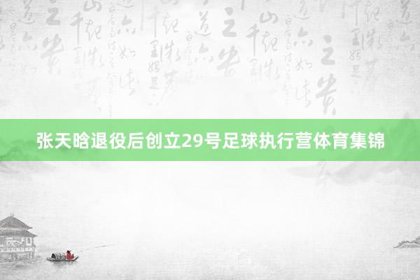 张天晗退役后创立29号足球执行营体育集锦