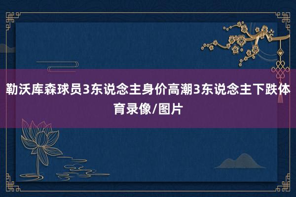 勒沃库森球员3东说念主身价高潮3东说念主下跌体育录像/图片