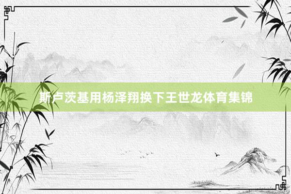 斯卢茨基用杨泽翔换下王世龙体育集锦