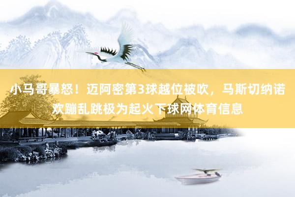 小马哥暴怒!迈阿密第3球越位被吹,马斯切纳诺欢蹦乱跳极为起火下球网体育信息