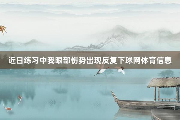 近日练习中我眼部伤势出现反复下球网体育信息