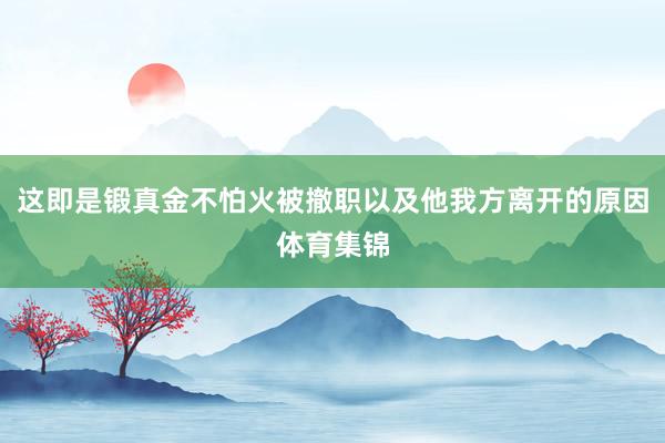 这即是锻真金不怕火被撤职以及他我方离开的原因体育集锦