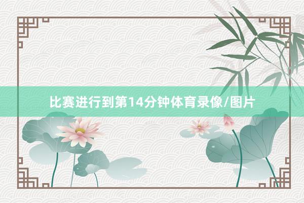比赛进行到第14分钟体育录像/图片