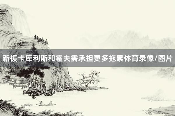 新援卡库利斯和霍夫需承担更多拖累体育录像/图片