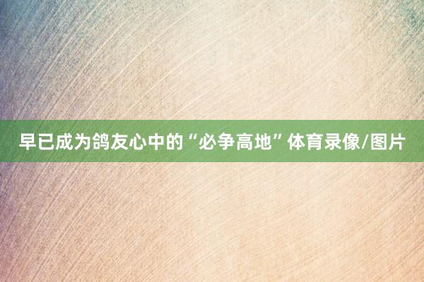 早已成为鸽友心中的“必争高地”体育录像/图片
