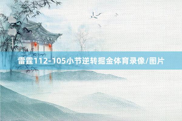 雷霆112-105小节逆转掘金体育录像/图片