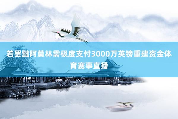 若罢黜阿莫林需极度支付3000万英镑重建资金体育赛事直播