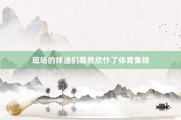 现场的球迷们蓦然欣忭了体育集锦