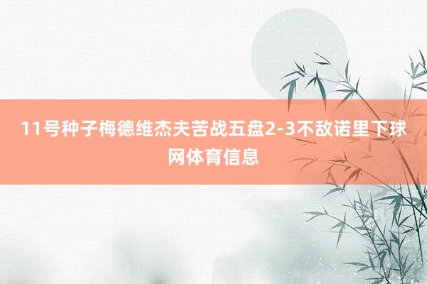 11号种子梅德维杰夫苦战五盘2-3不敌诺里下球网体育信息
