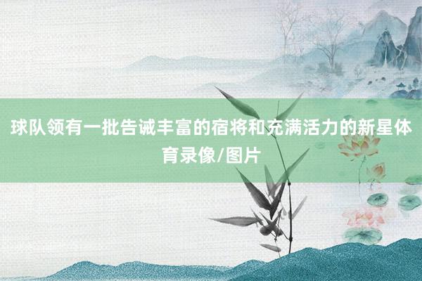 球队领有一批告诫丰富的宿将和充满活力的新星体育录像/图片