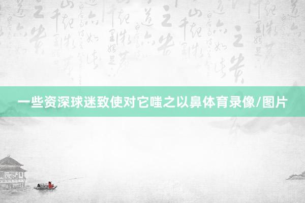 一些资深球迷致使对它嗤之以鼻体育录像/图片