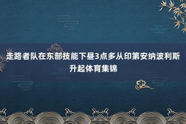 走路者队在东部技能下昼3点多从印第安纳波利斯升起体育集锦