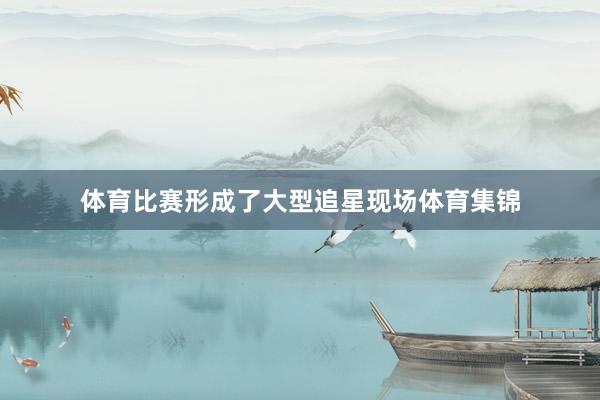 体育比赛形成了大型追星现场体育集锦