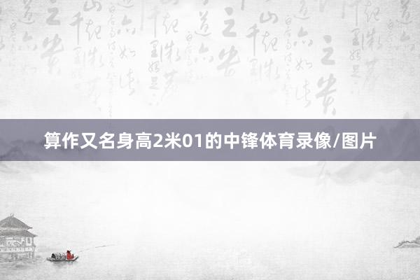 算作又名身高2米01的中锋体育录像/图片