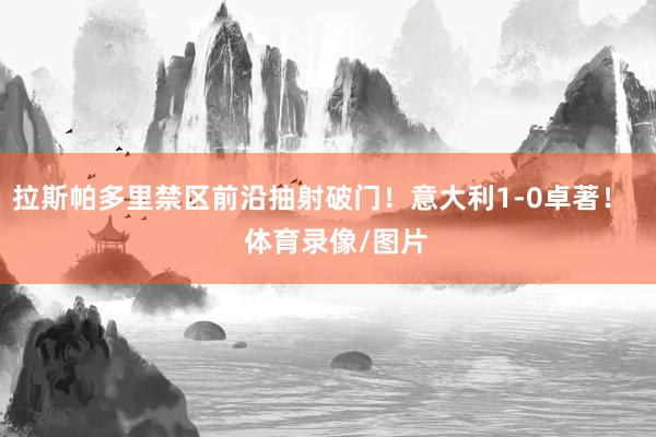 拉斯帕多里禁区前沿抽射破门！意大利1-0卓著！    体育录像/图片