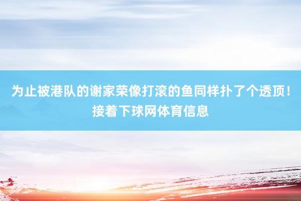 为止被港队的谢家荣像打滚的鱼同样扑了个透顶！接着下球网体育信息