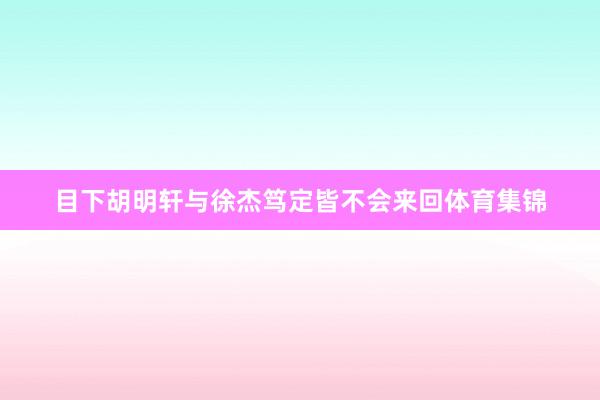 目下胡明轩与徐杰笃定皆不会来回体育集锦