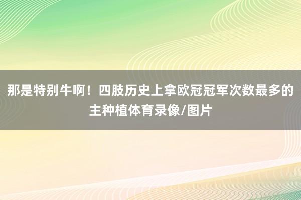 那是特别牛啊！四肢历史上拿欧冠冠军次数最多的主种植体育录像/图片