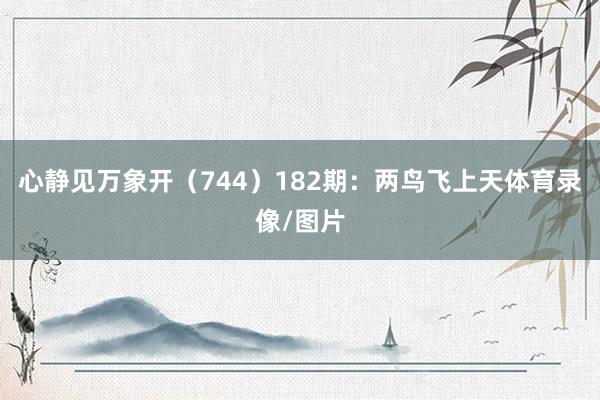 心静见万象开（744）　　182期：两鸟飞上天体育录像/图片