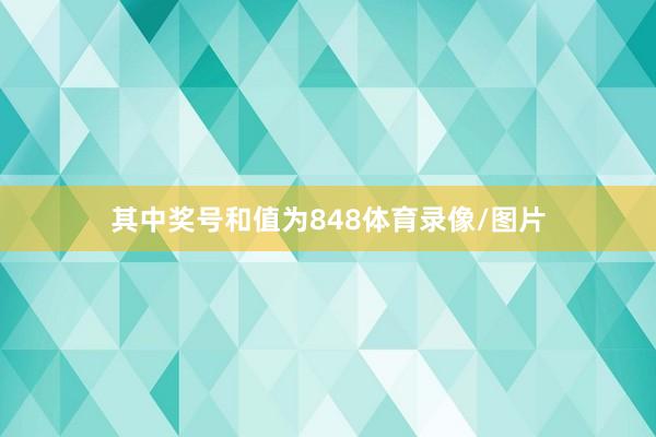 其中奖号和值为848体育录像/图片
