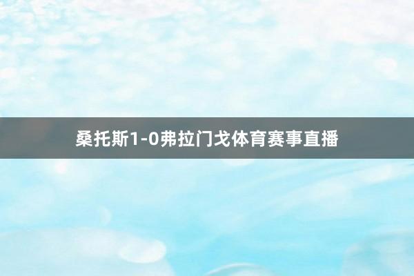桑托斯1-0弗拉门戈体育赛事直播