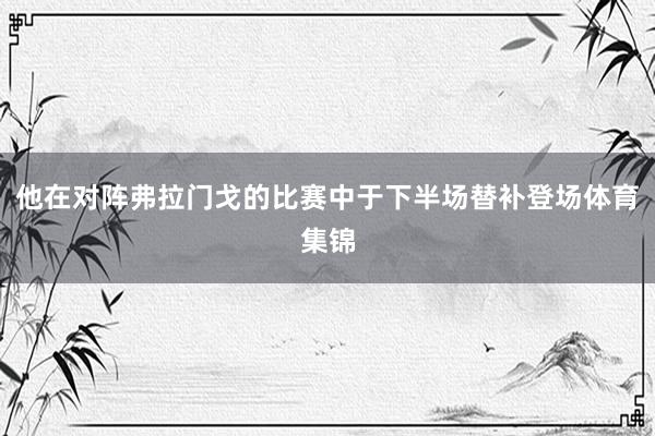 他在对阵弗拉门戈的比赛中于下半场替补登场体育集锦