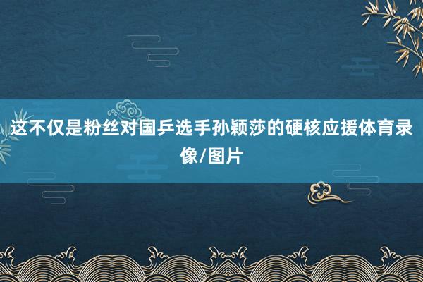 这不仅是粉丝对国乒选手孙颖莎的硬核应援体育录像/图片