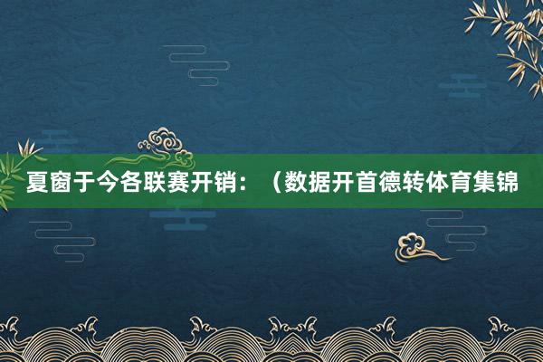 夏窗于今各联赛开销：（数据开首德转体育集锦
