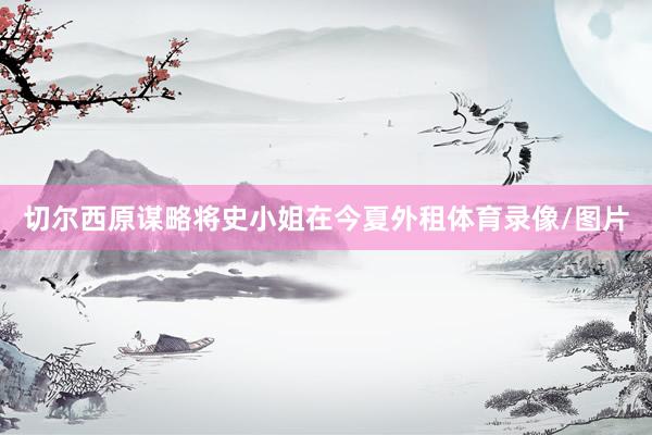 切尔西原谋略将史小姐在今夏外租体育录像/图片
