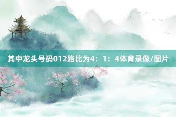其中龙头号码012路比为4：1：4体育录像/图片