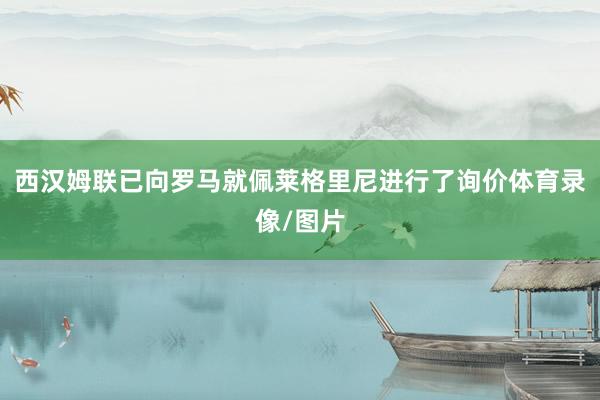 西汉姆联已向罗马就佩莱格里尼进行了询价体育录像/图片