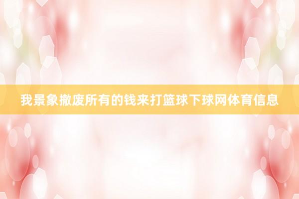 我景象撤废所有的钱来打篮球下球网体育信息