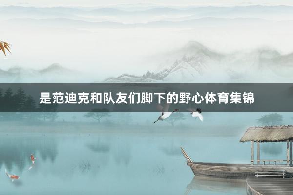 是范迪克和队友们脚下的野心体育集锦