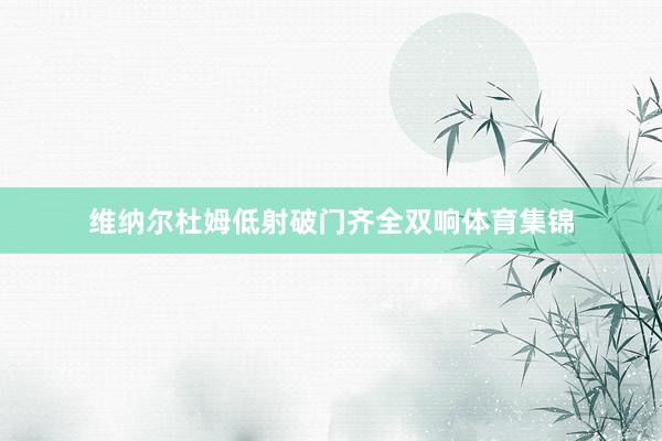 维纳尔杜姆低射破门齐全双响体育集锦