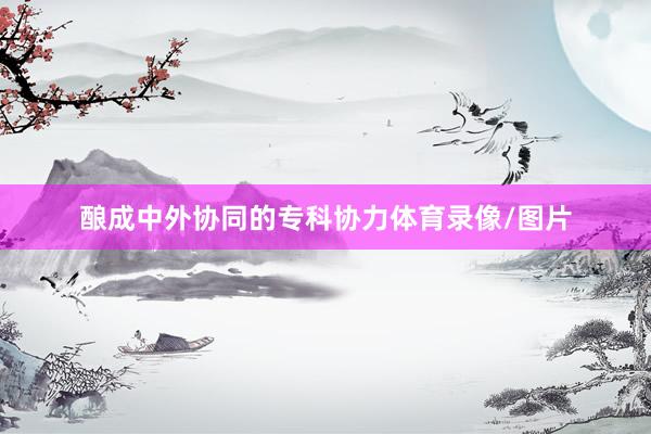 酿成中外协同的专科协力体育录像/图片