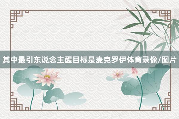其中最引东说念主醒目标是麦克罗伊体育录像/图片