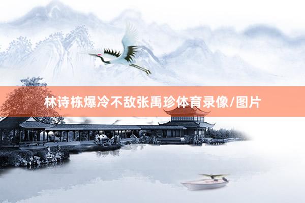 林诗栋爆冷不敌张禹珍体育录像/图片
