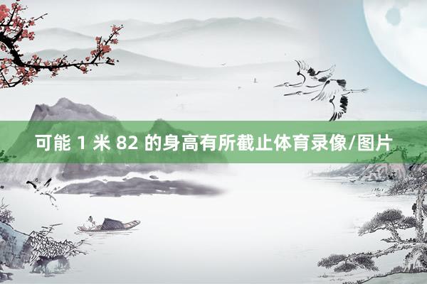可能 1 米 82 的身高有所截止体育录像/图片