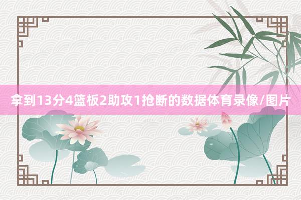 拿到13分4篮板2助攻1抢断的数据体育录像/图片