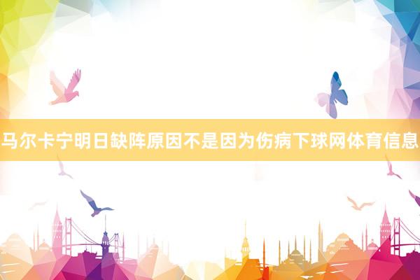 马尔卡宁明日缺阵原因不是因为伤病下球网体育信息