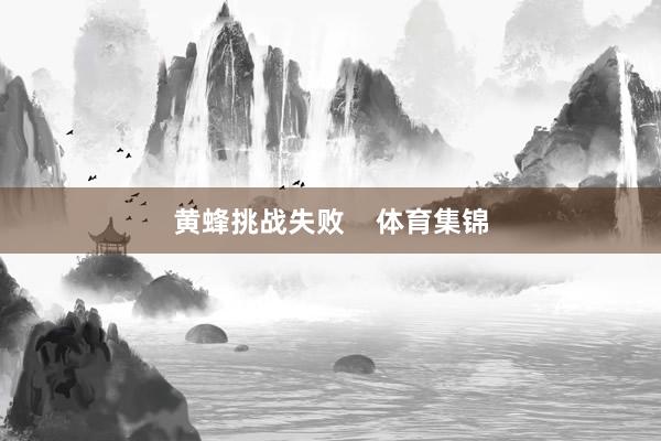 黄蜂挑战失败    体育集锦